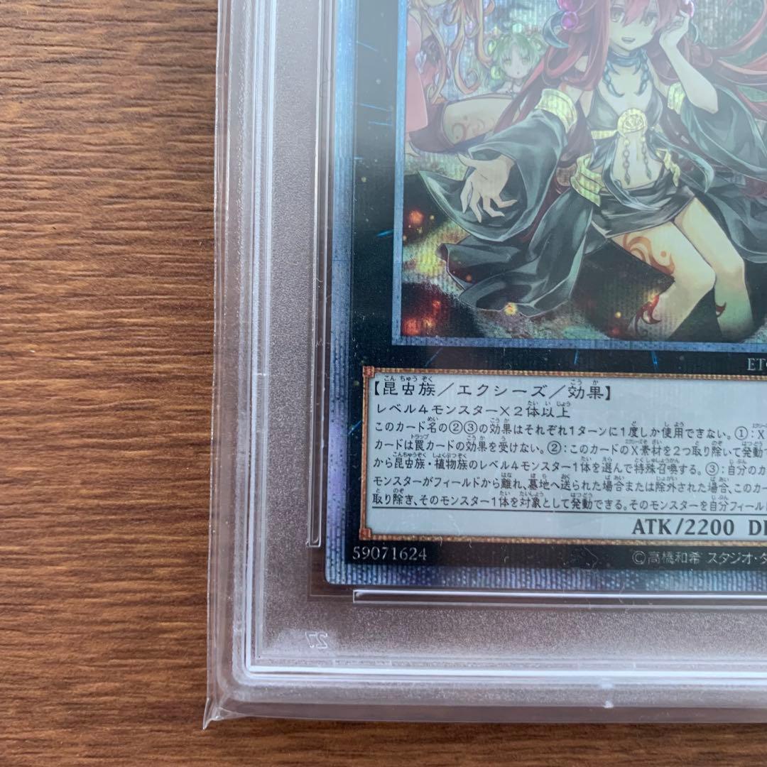 遊戯王 アロメルスの蟲惑魔 ETCO-JP045 P 20thシークレット
