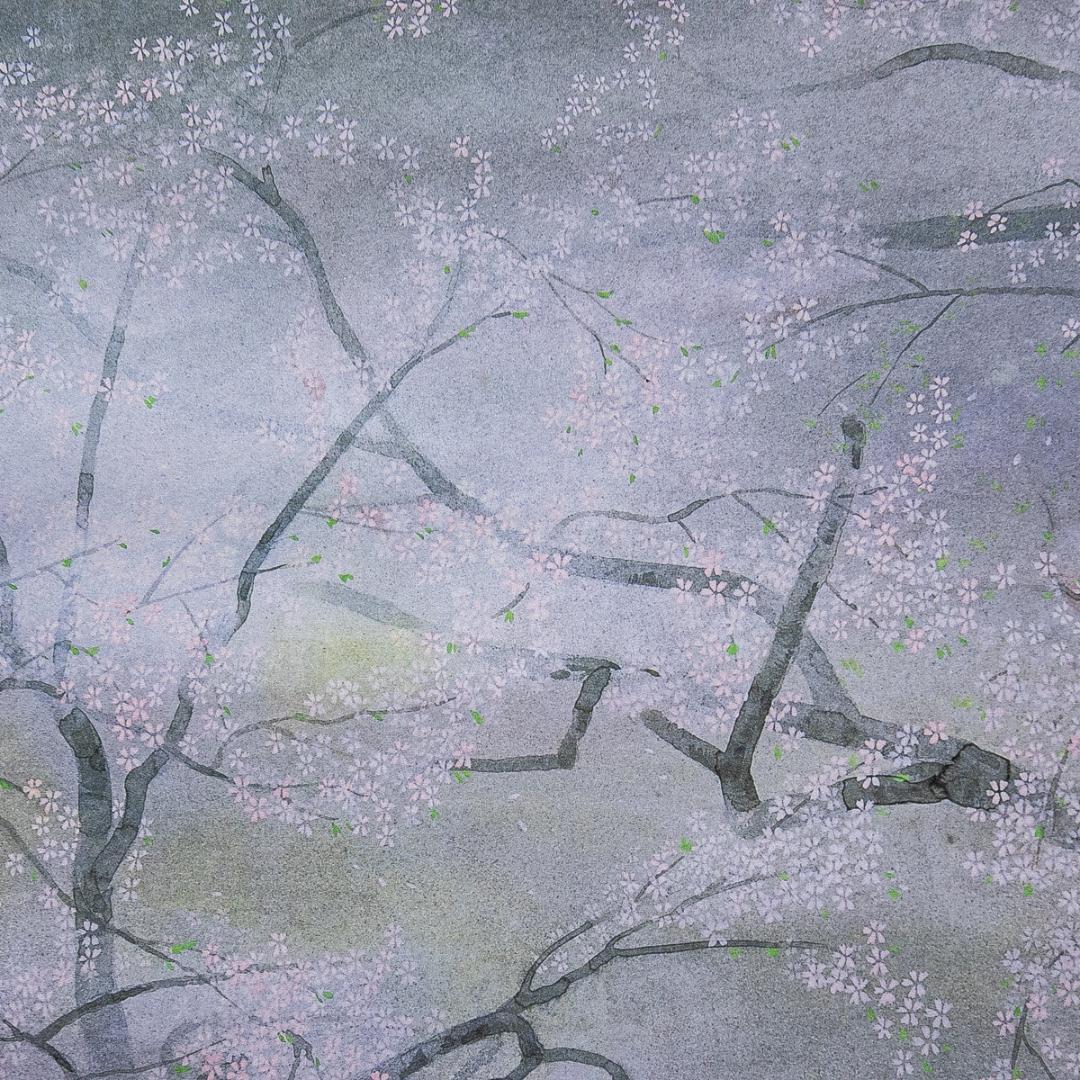 掛軸-1596中島千波臥龍桜印刷工芸作品共同印刷岩絵具式複製画