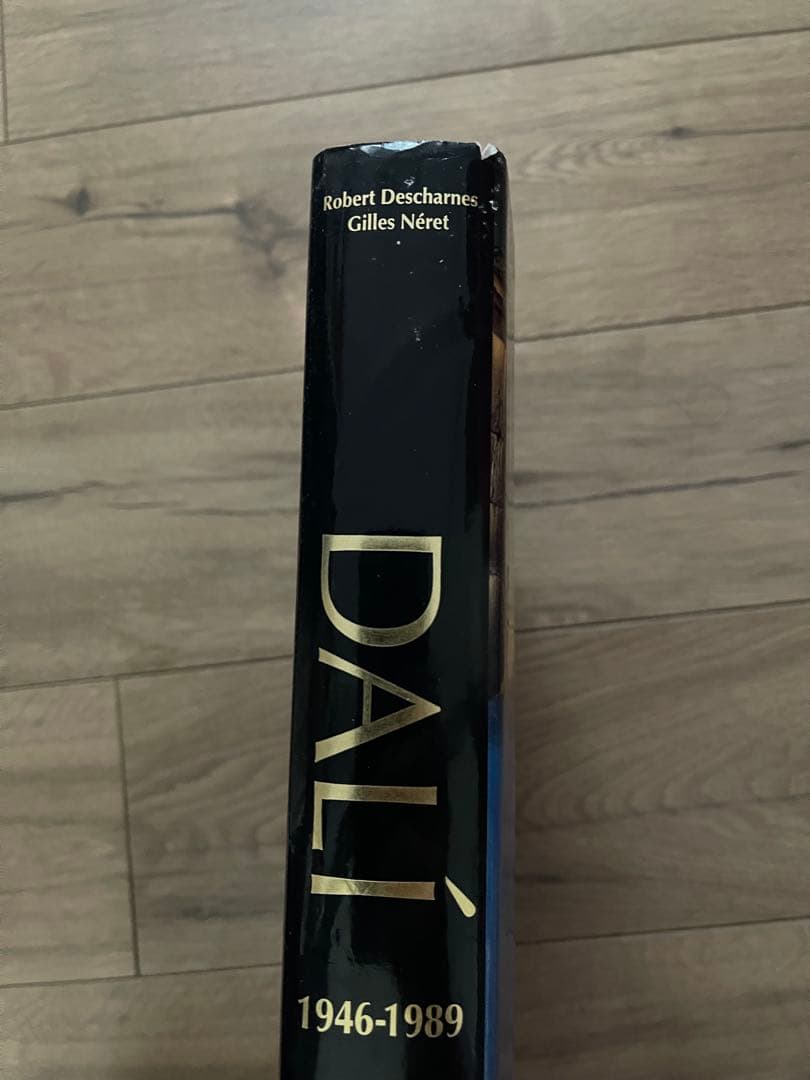 DALÍ The Paintings ダリ 画集全2巻