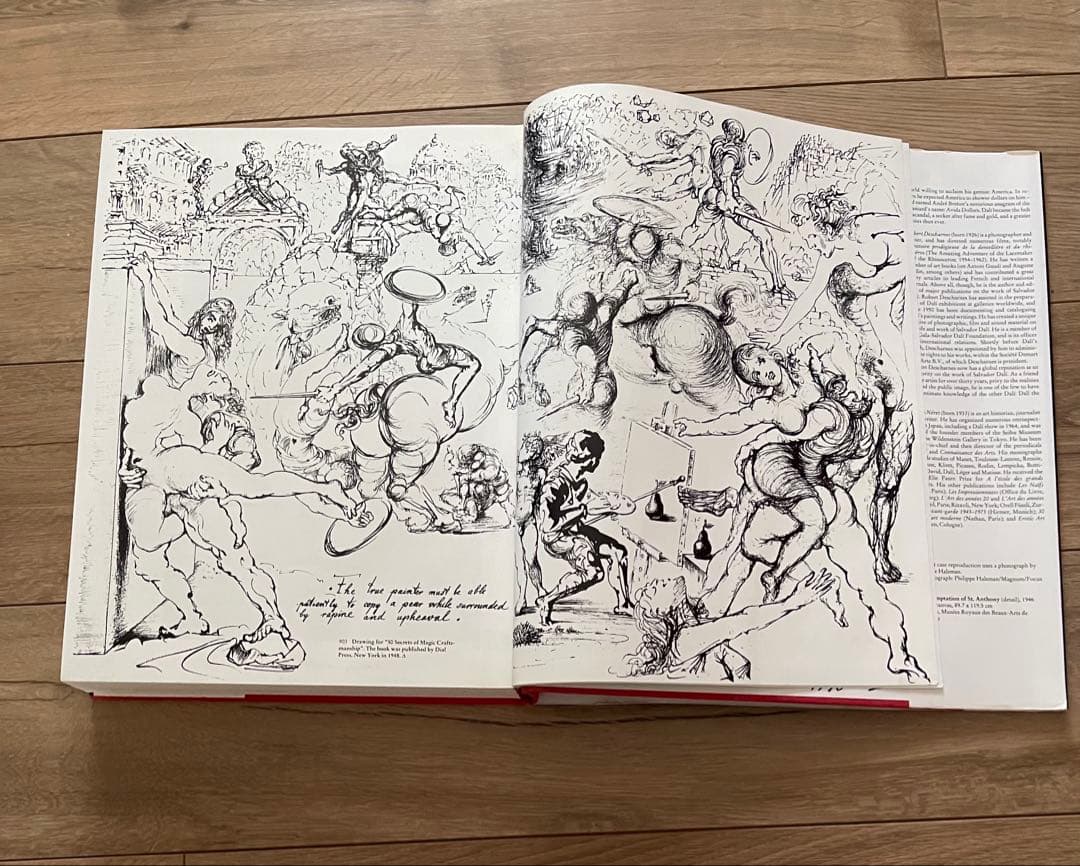 DALÍ The Paintings ダリ 画集全2巻