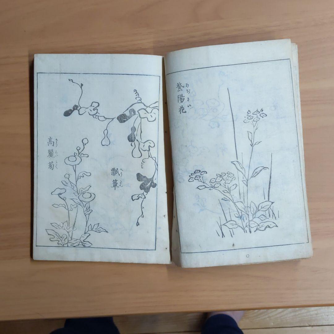 神事行燈尾形光琳漫画