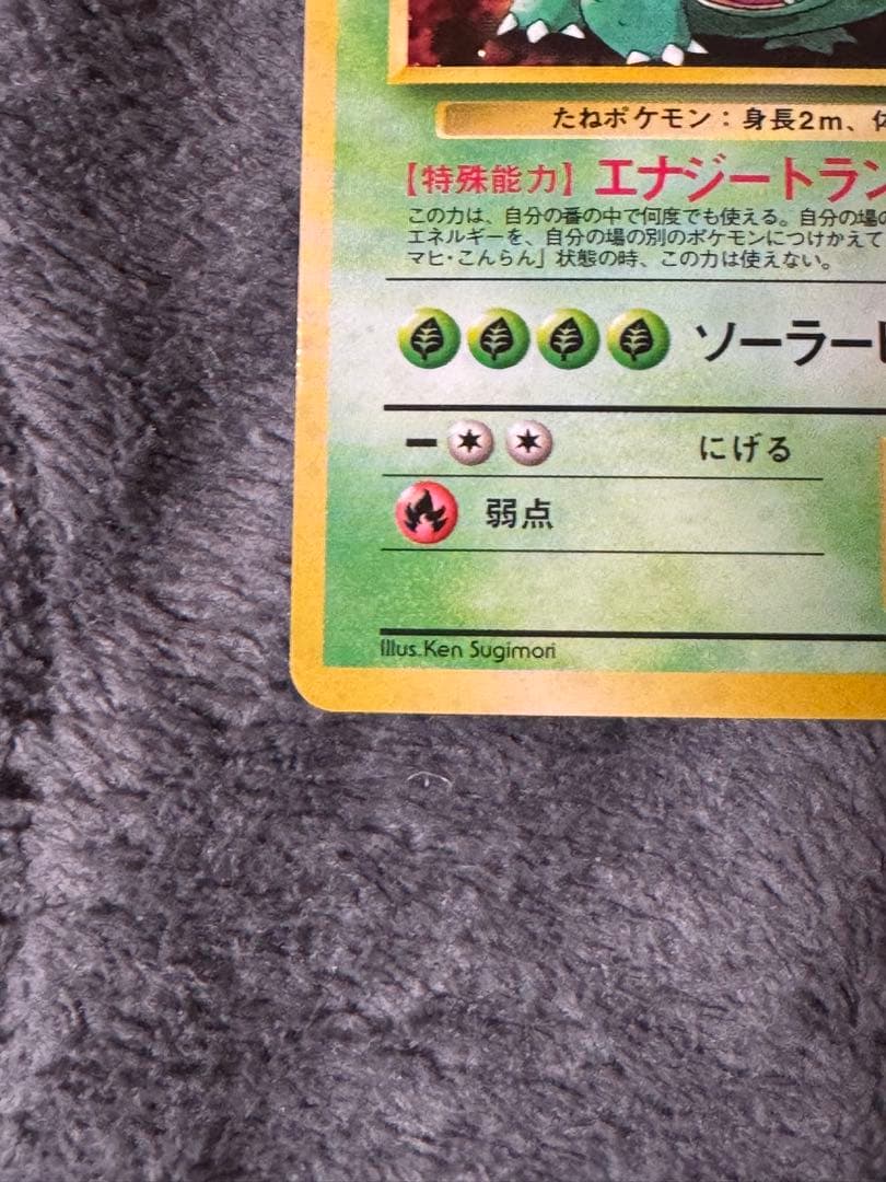 旧裏　ポケモンカード　イントロパック　フシギバナ