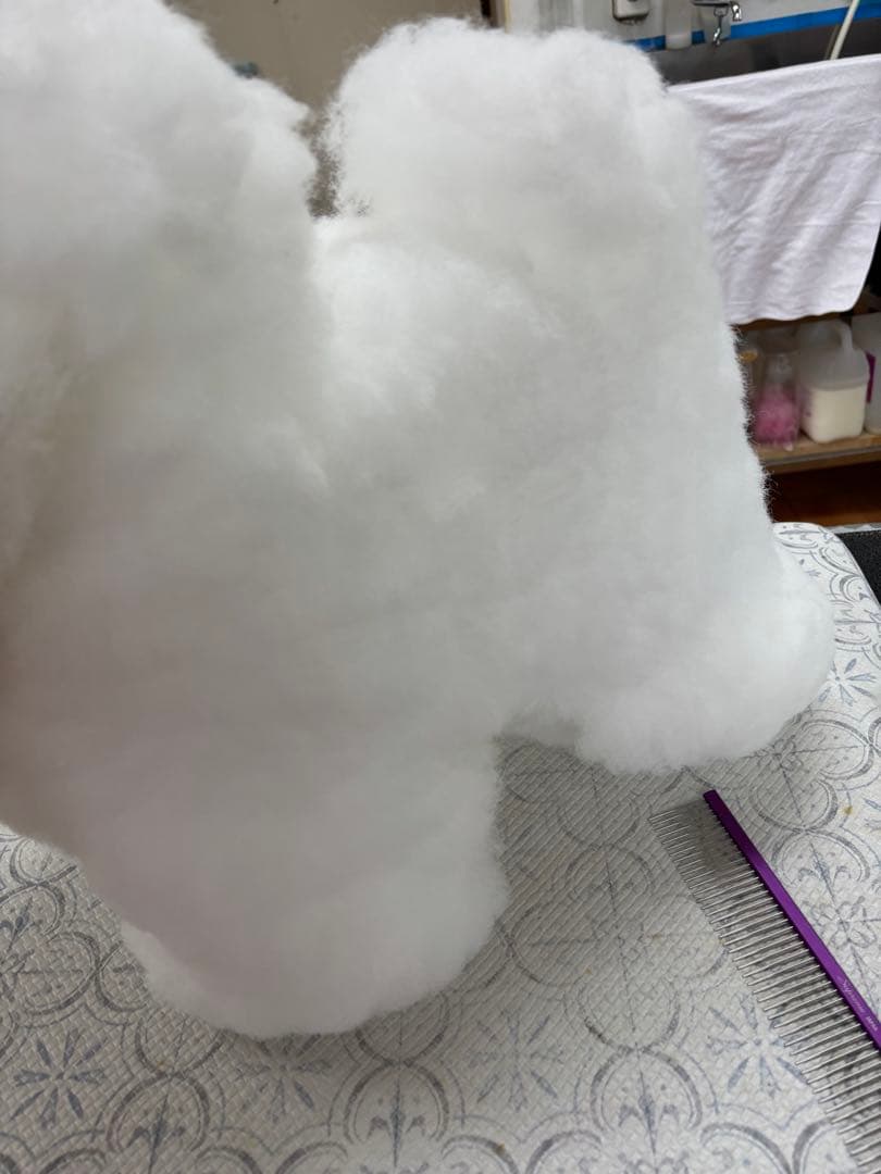 トリミング練習 全身用マネキン RIKEIプードル 全身用プードルウィッグ