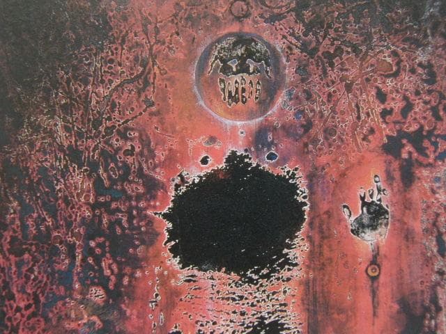 星野真吾、【我果】、希少な額装用画集より、新品額装付、状態良好