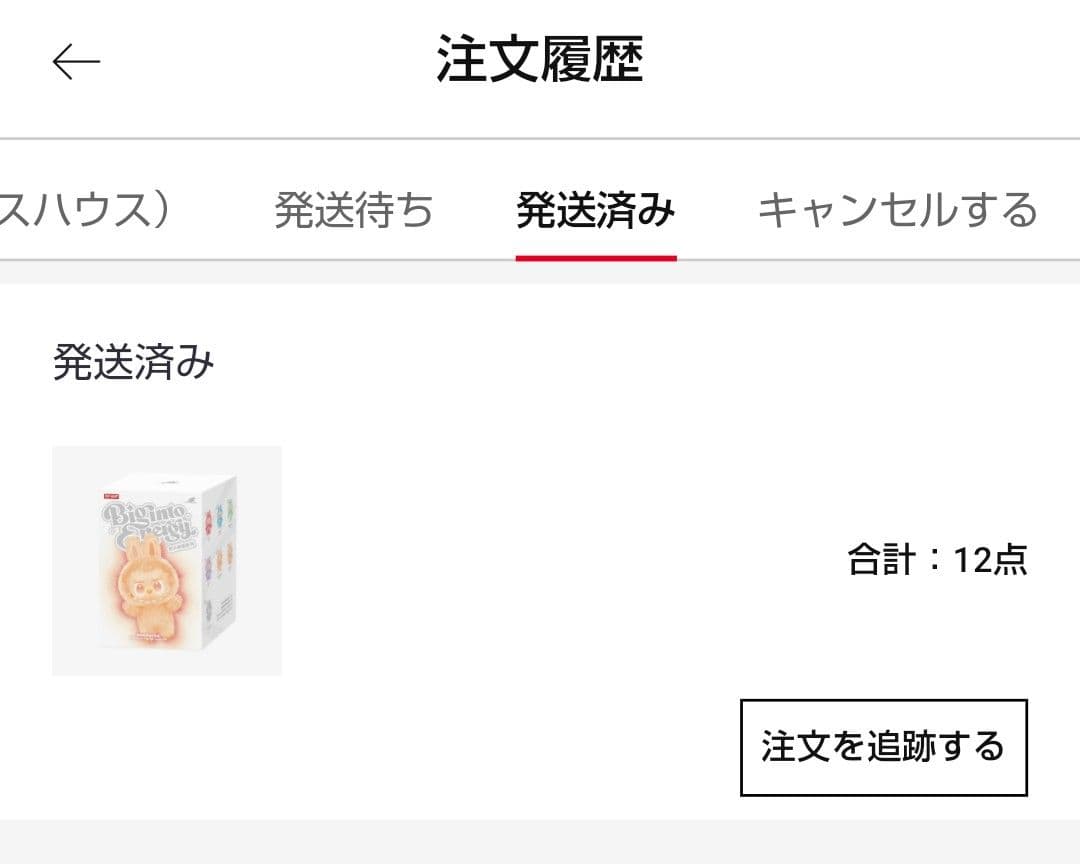 【クリスマスに間に合います！正規品ラブブ】Big into Energy 6体