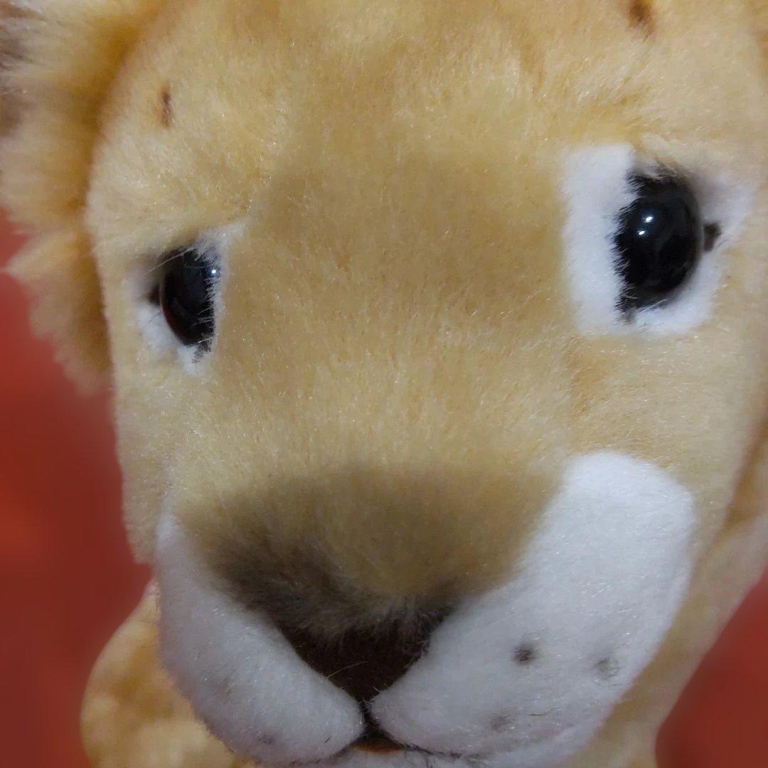 ライオンのレオ　シュタイフ