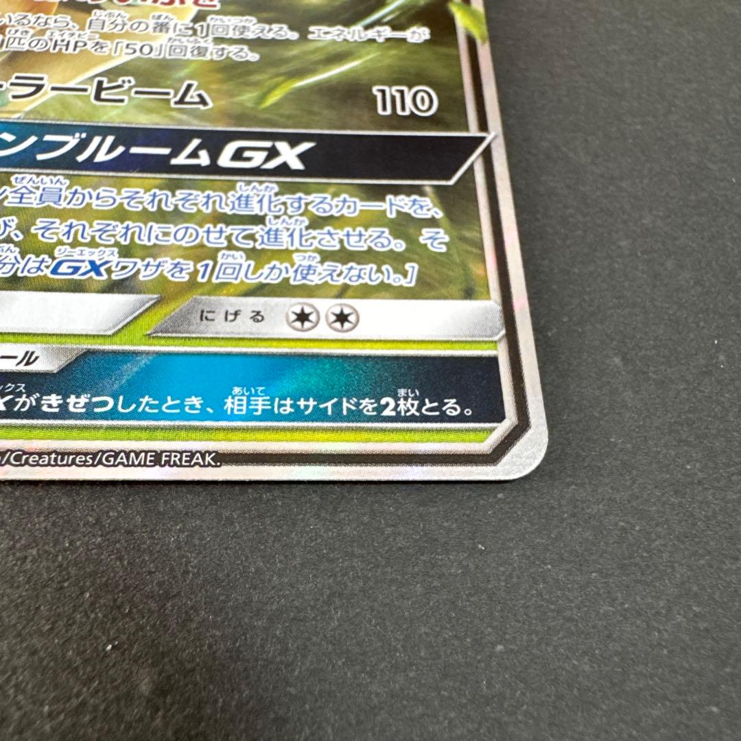 リーフィアGX：「チャンピオンシップシリーズ2019」 PROMO SM-Pプ…