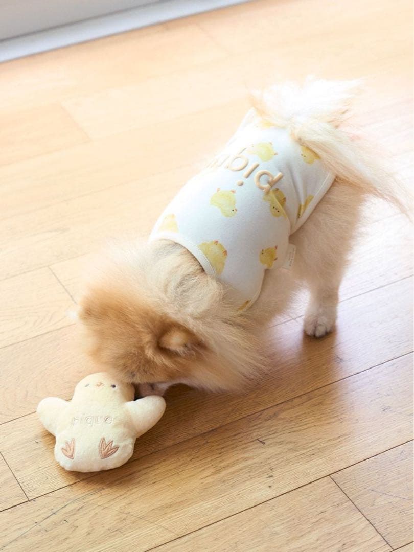 ジェラートピケ ひよこ柄プルオーバー Lサイズ