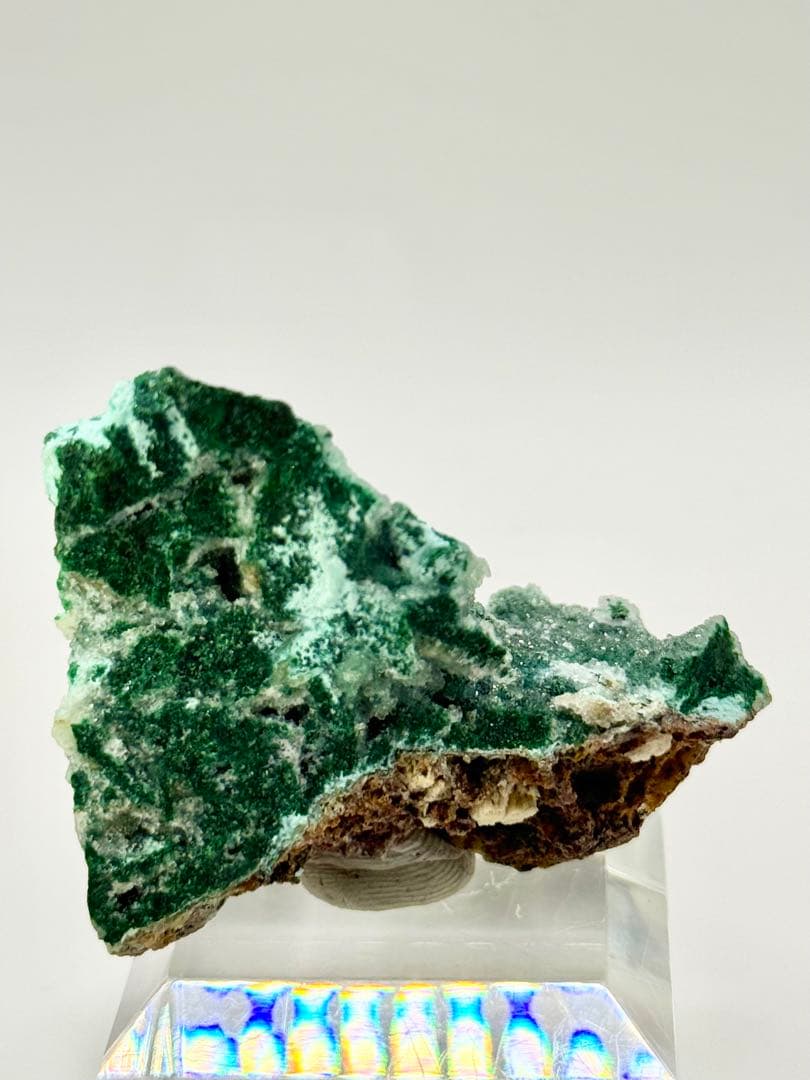 マラカイ on ドゥルージークォーツ on マラカイト!! 72g 希少共生美