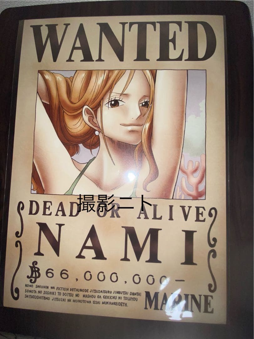 ワンピース　海軍公式手配書　麦わらの一味9枚　麦わらストア