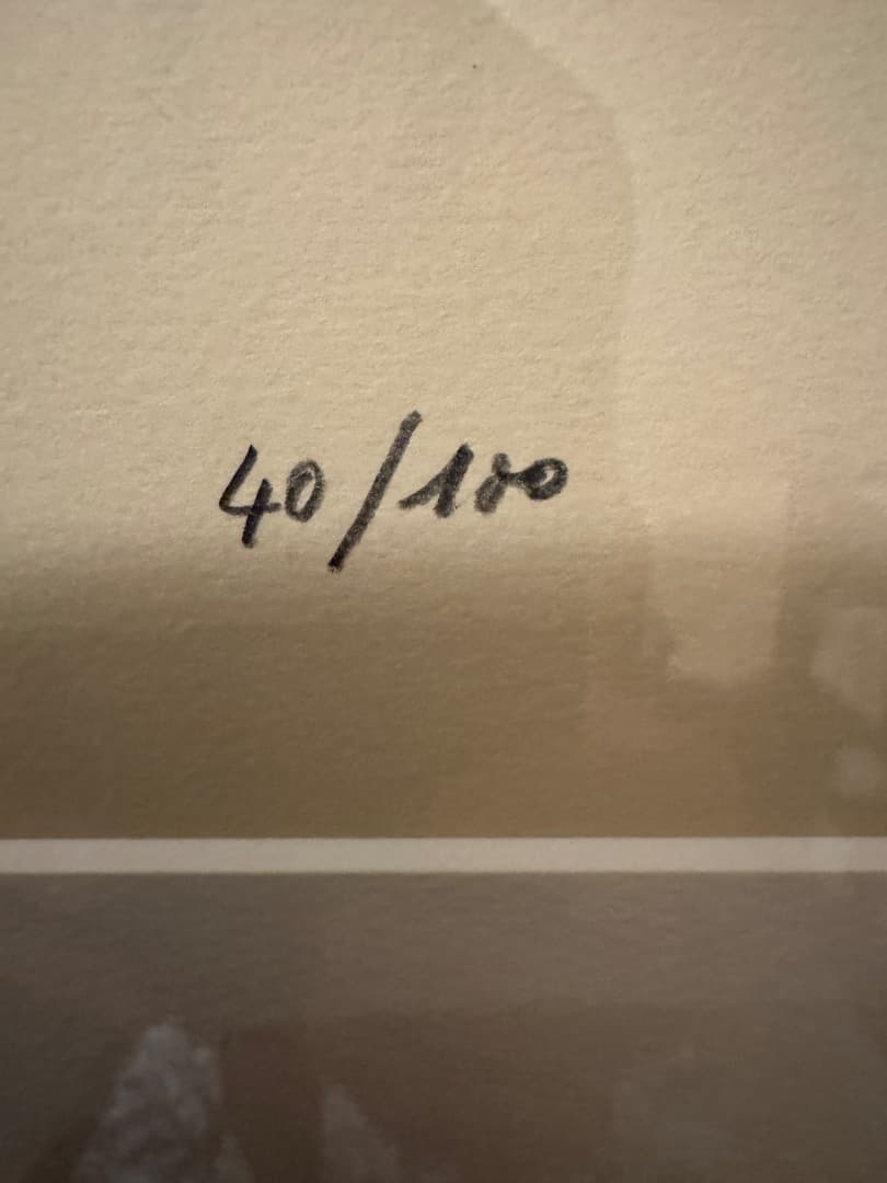 大塚家具購入 リトグラフ J. Plo 魚の絵画 40/180