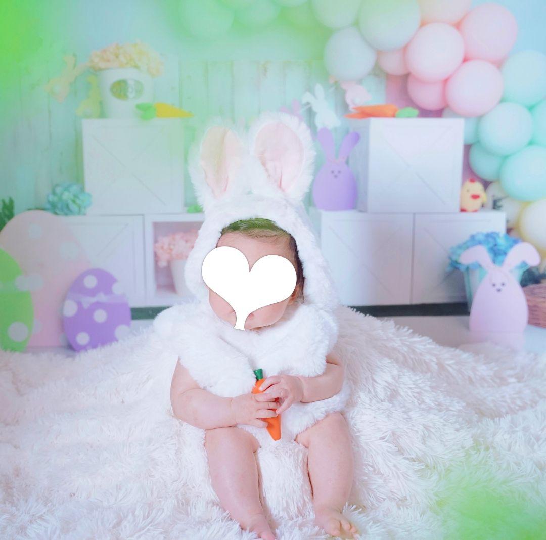 背景布×10枚+2 ペット撮影用ブース トリミングチョーカー販売中 ペット