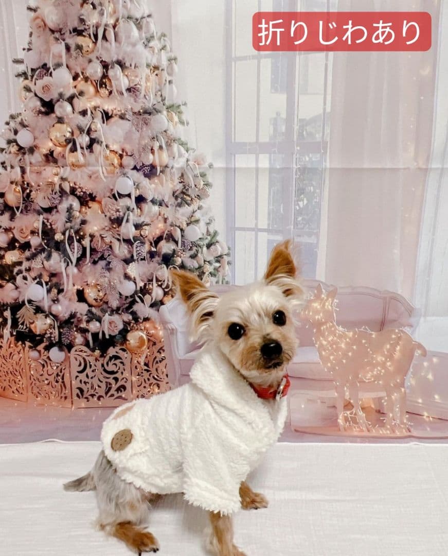 背景布×10枚+2 ペット撮影用ブース トリミングチョーカー販売中 ペット