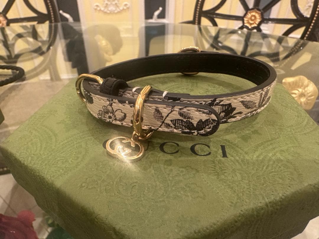 GUCCI グッチ ドッグ リード&カラー 2点セット 犬用 首輪 GUCCI