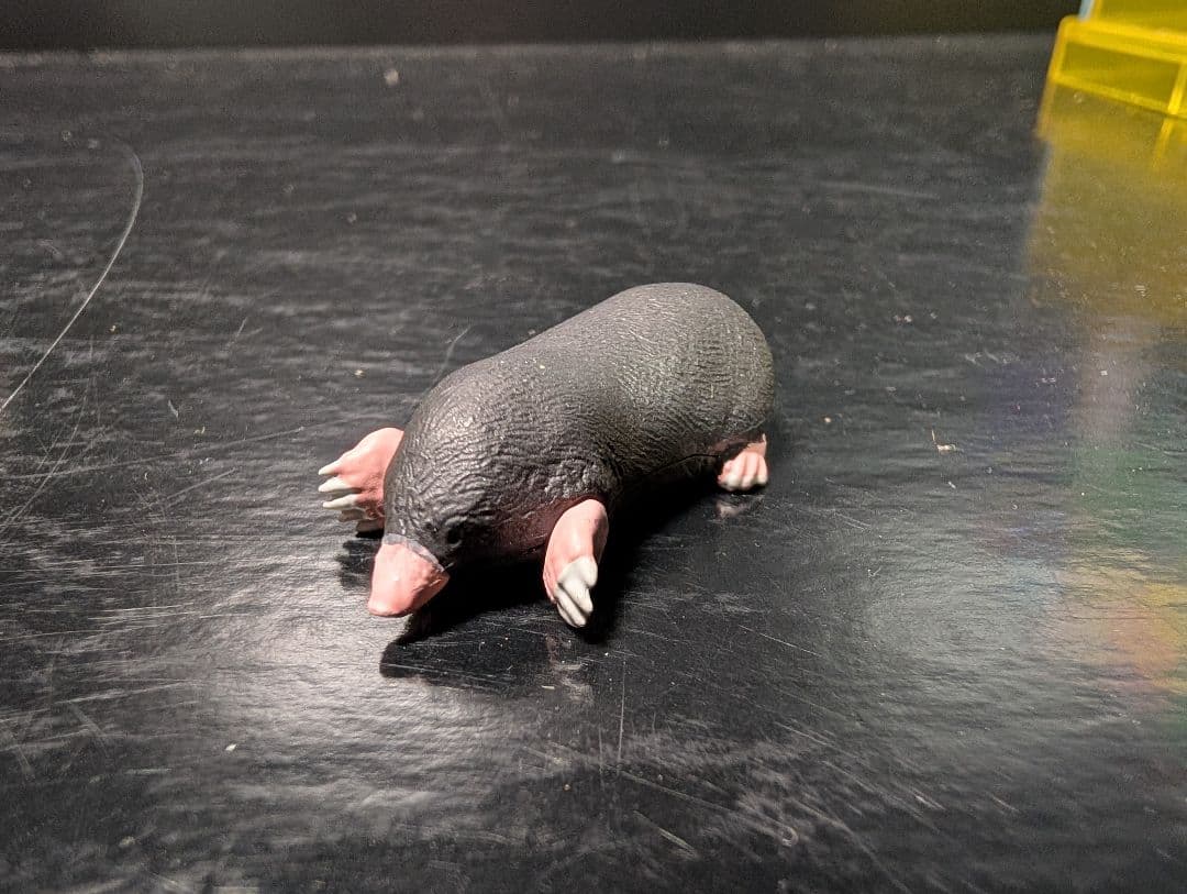 チョコQ 　日本の動物7 全23種＋シークレット3種＋シークレット＋1