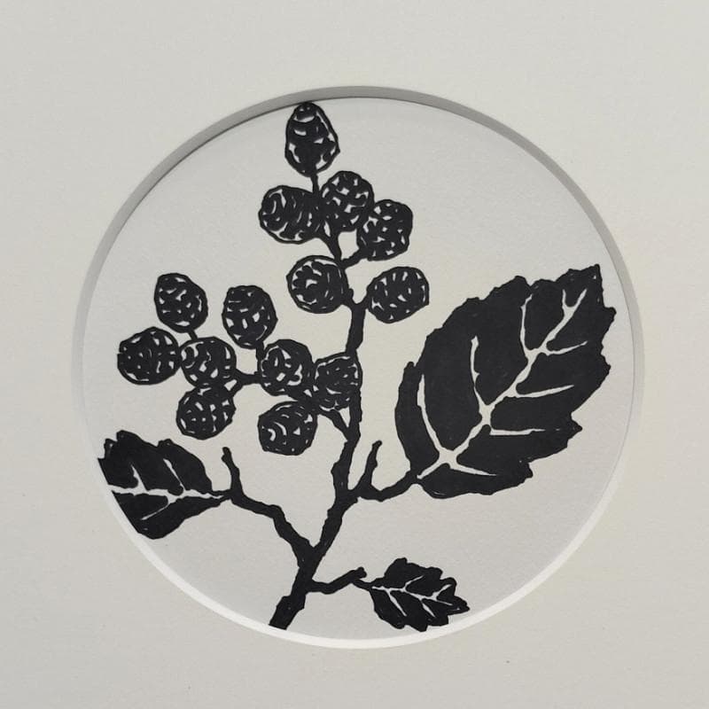 ☆坂本直行☆「ハンノキの実」ペン画　径145ｍｍ円