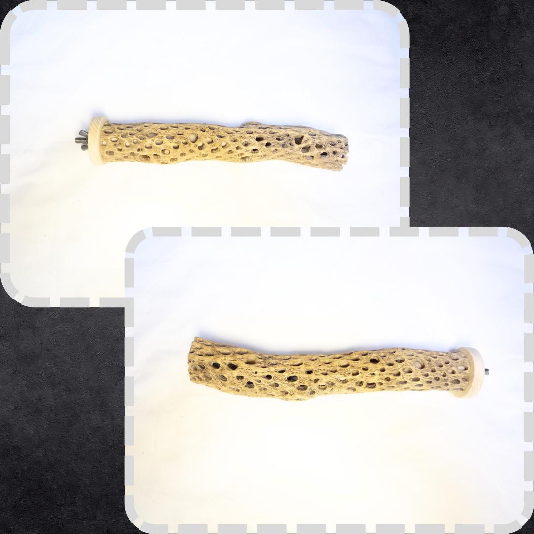 鳥用品 止まり木 カクタス スケルトン パーチ 特大No.217