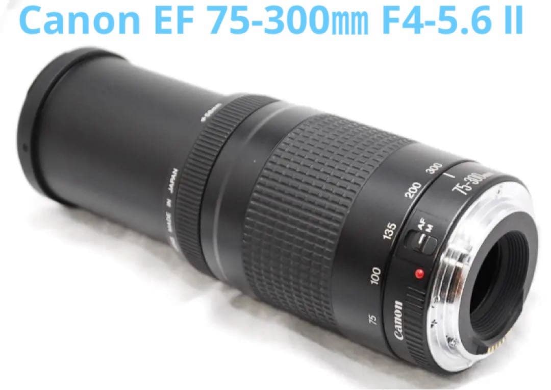 デジタル一眼レフカメラ/Canon EF 75-300㎜ F4-5.6 Ⅱ