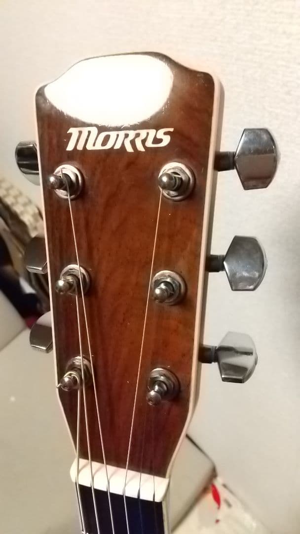 Morris M-601 ハカランダ 限界値下げ L108836259 - ギターセール