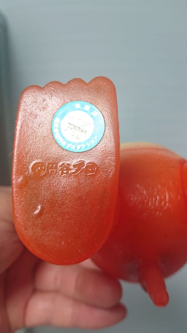 スケルトン、ブースカとチャメゴン