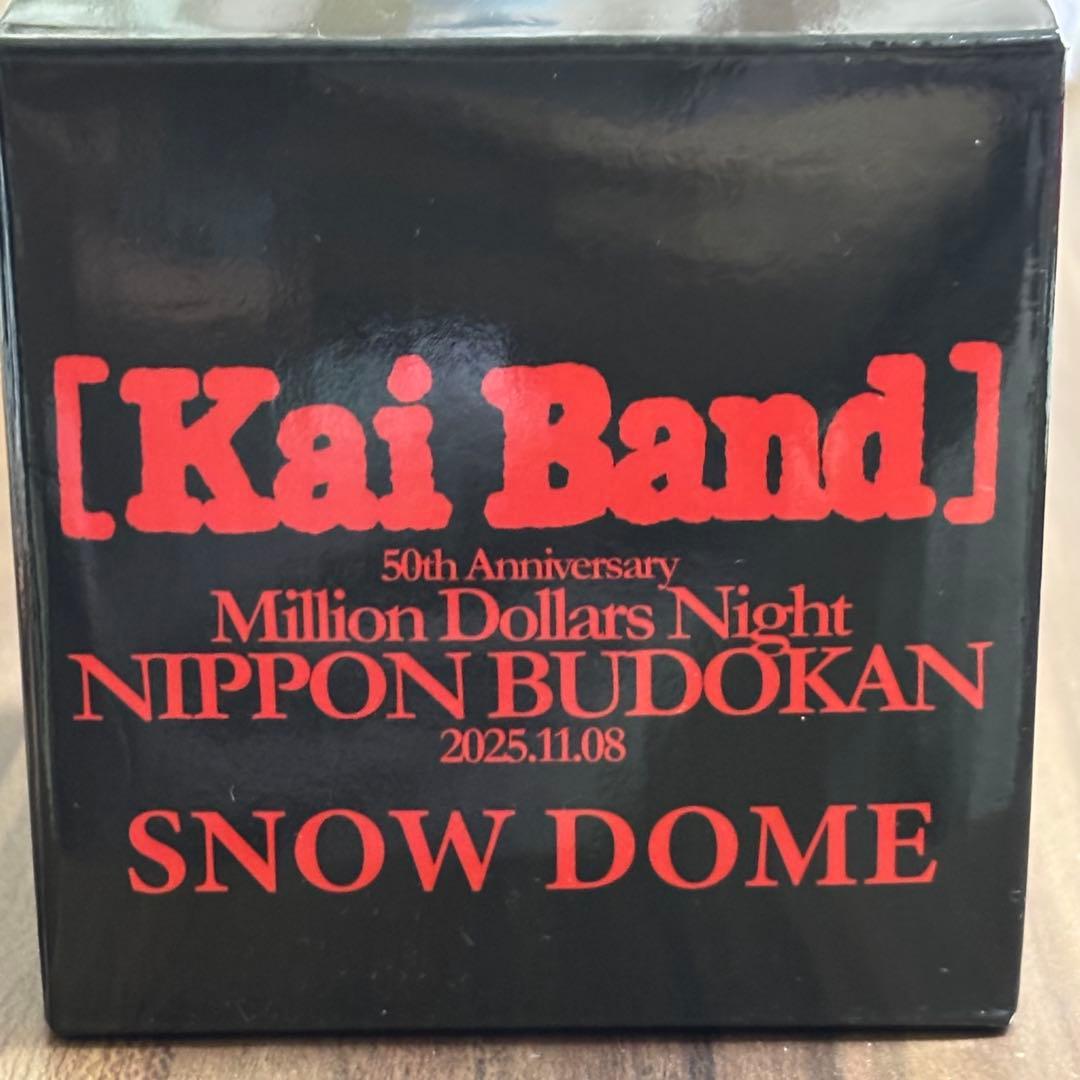 甲斐バンド 武道館ライブ VIP 特典 スノードーム - メルカリ
