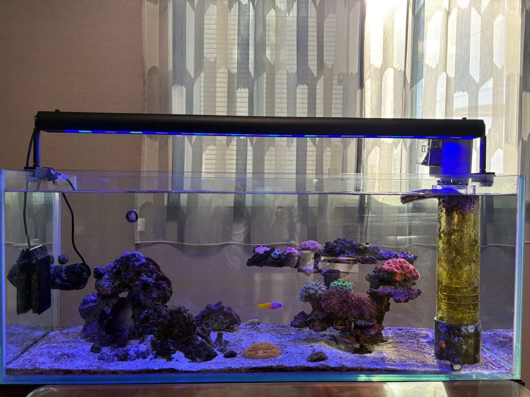 REEFERさん 角パイプ水槽台の通販はau PAY マーケット - 輸入雑貨の