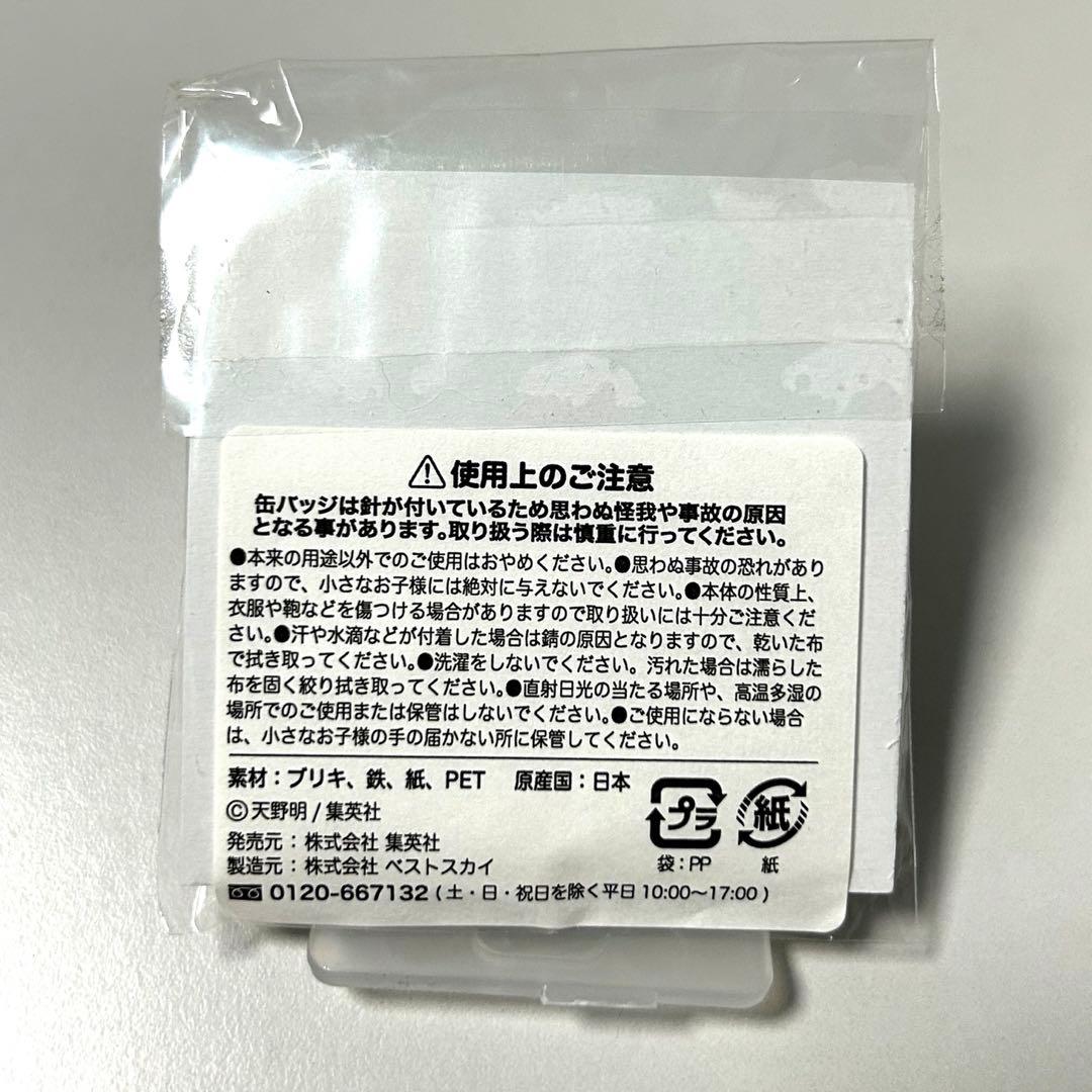 家庭教師ヒットマンREBORN！　スナック特典缶バッジ　ツナ　リボーン　JF