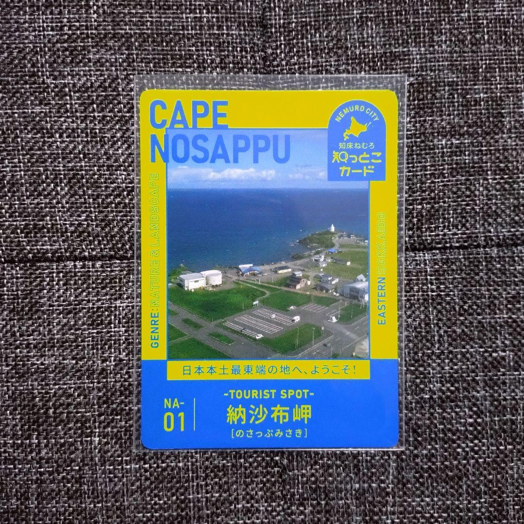 鮭の聖地メナシカード/知床ねむろ知っとこカード/いぶりの縄文カード 計11枚