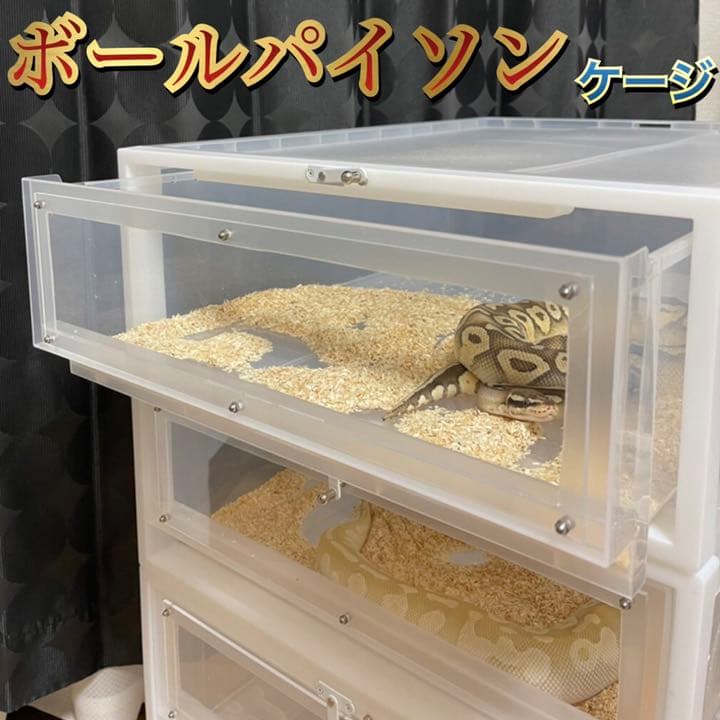 新ボールパイソンケージ2個セット