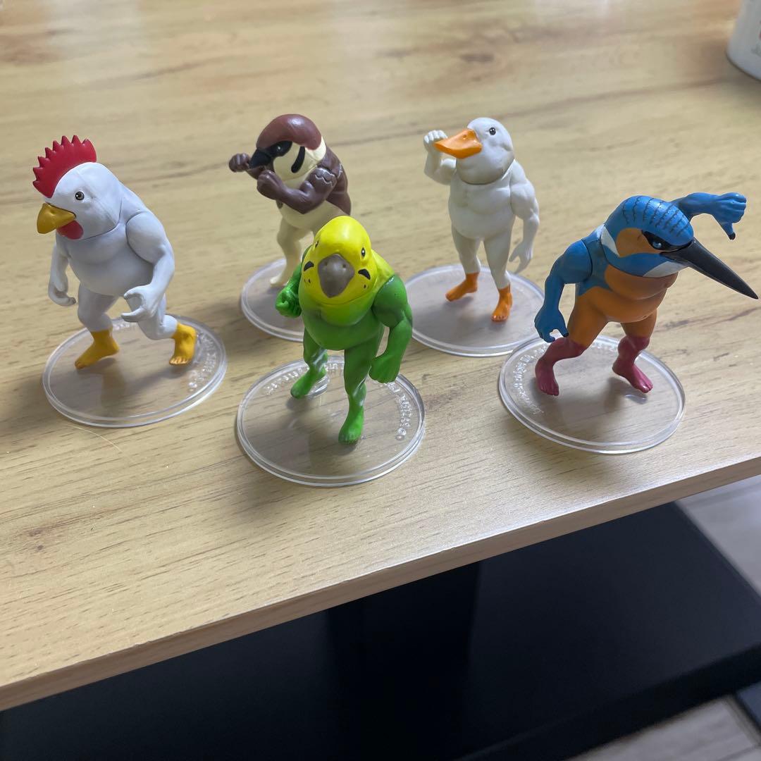 ガチムチ鳥1 5体セット - メルカリ