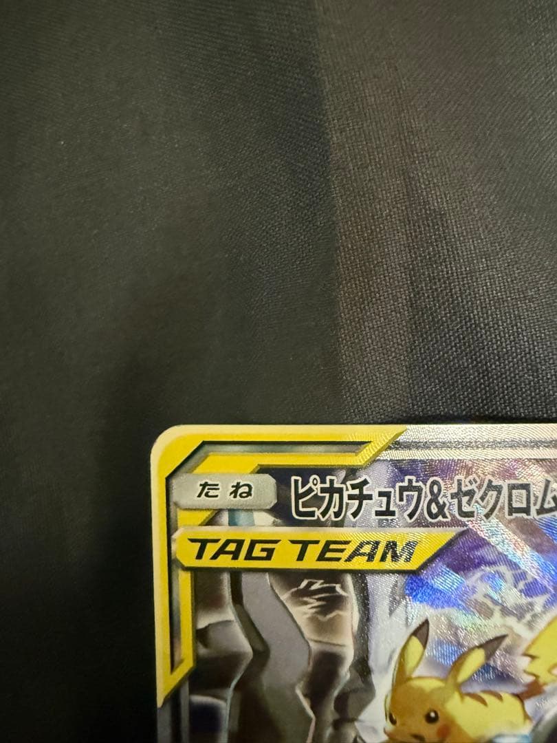 か*こ様 ピカチュウ＆ゼクロムSA