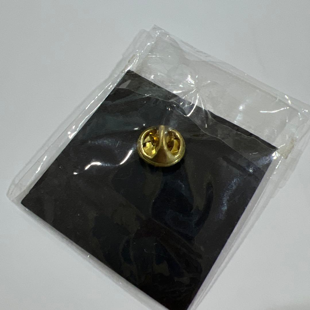 2001年 ポケモンセンター公式非売品ピンバッジ 21century 21世紀