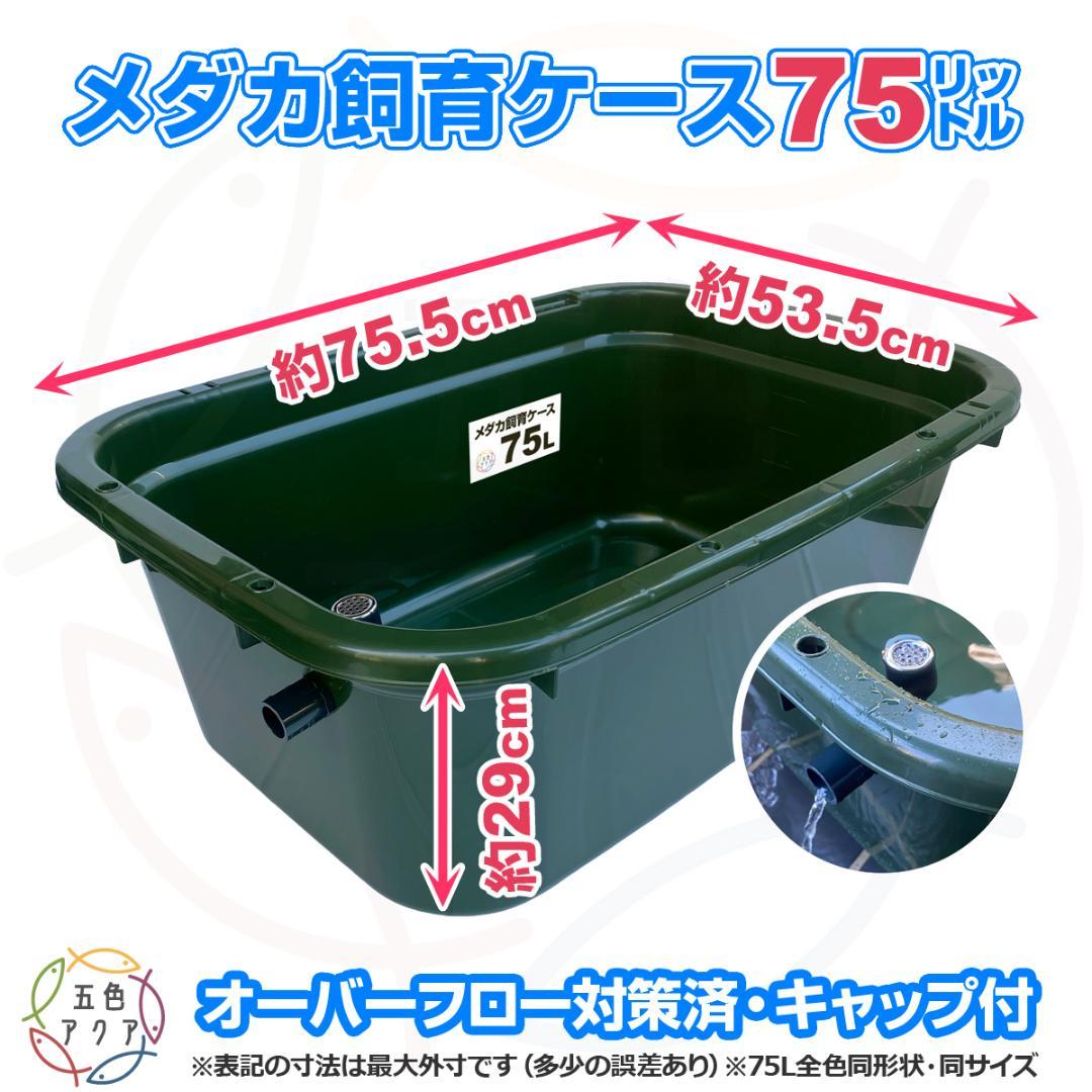 新仕様】メダカ飼育ケース 75㍑深緑x5個 オーバーフロー対策済 金魚