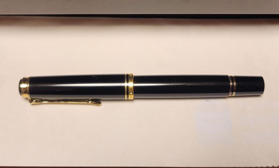 Purple fish様専用 ペリカン Pelikan万年筆 M600 M Purple fish