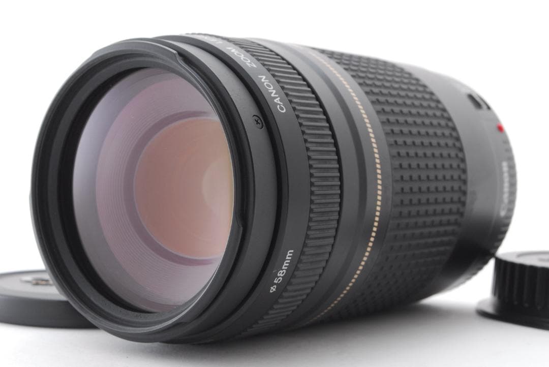 レンズ(ズーム) Canon EF 75-300mm f/4-5.6 II L0230