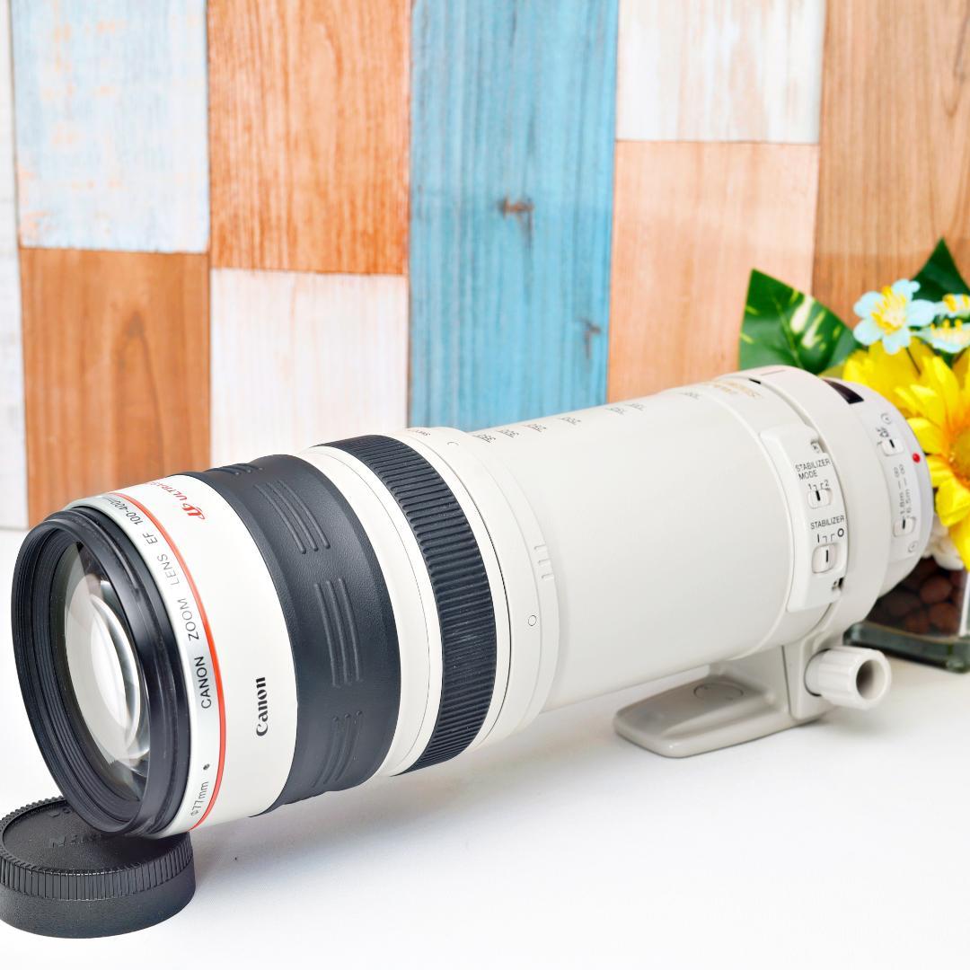 超望遠✨Canon EF 100-400mm L IS USM✨元箱・ケース付き