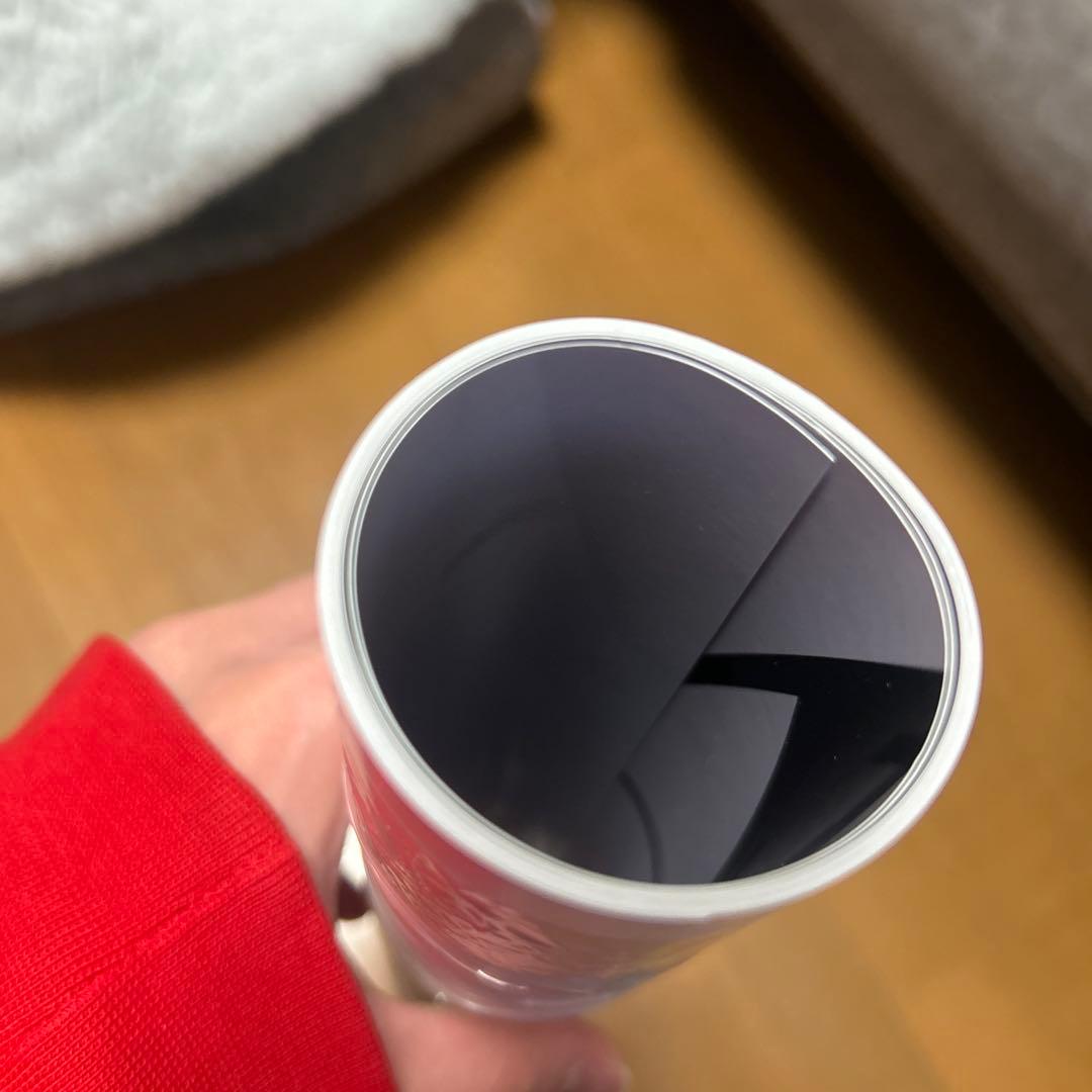 【新品】武田玲奈　等身大ポスター 2種セット