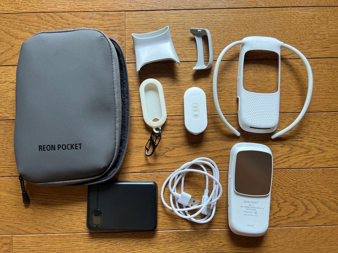 Sony純正ケース付き】REON POCKET RNPK-5T相当の通販｜gfsmgmt.com