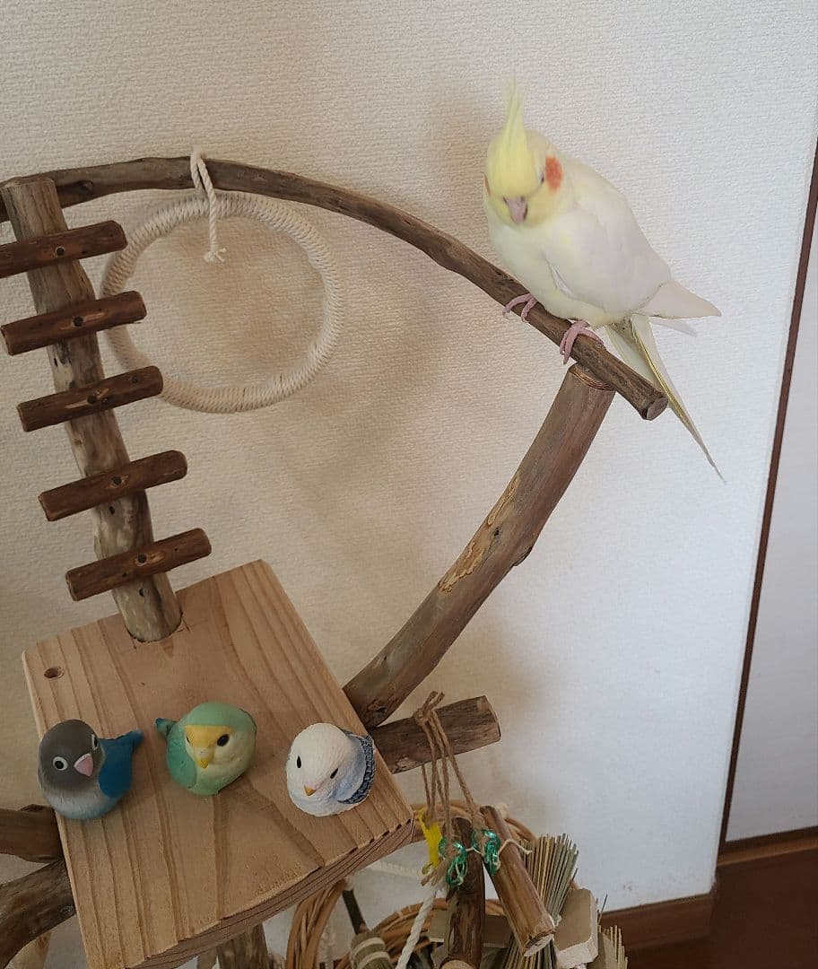 ② uki様専用オーダーページ ハンドメイド 流木 アスレチック ② uki様