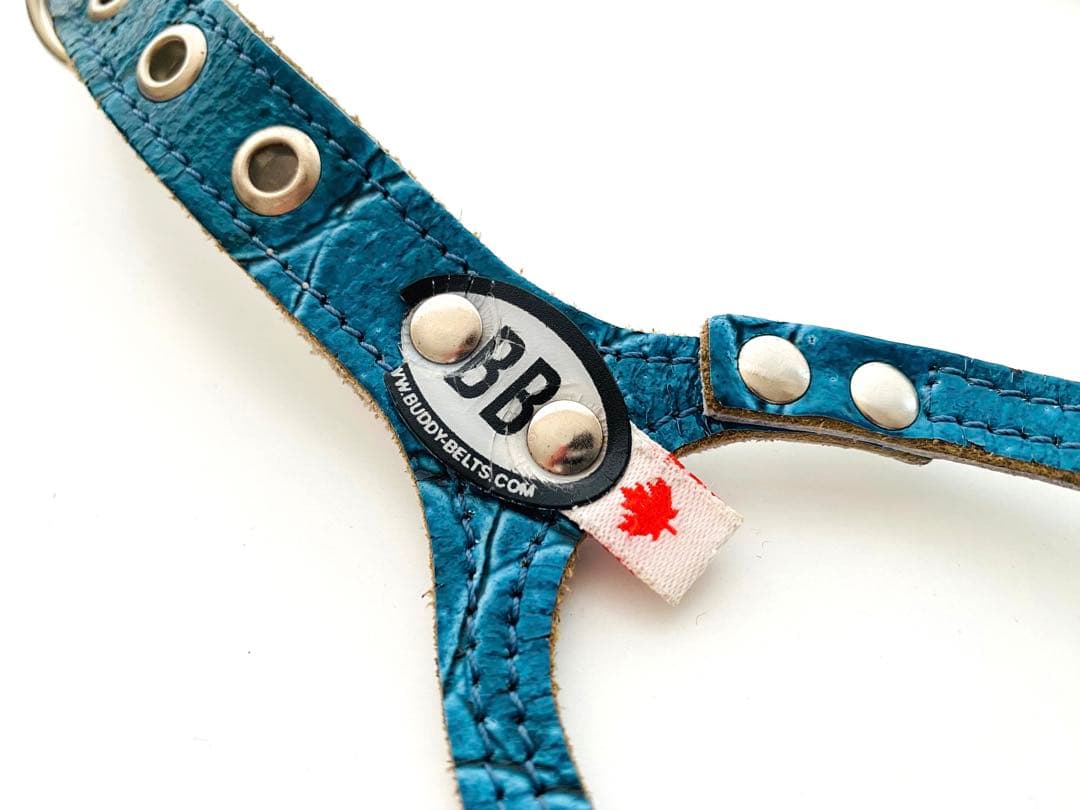 バディーベルト ブルーグリーン 3号 リードSサイズ 青色