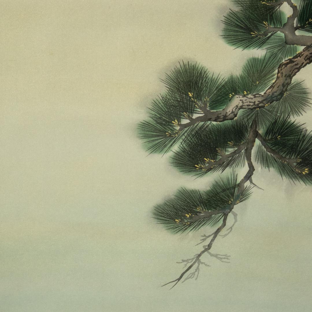 掛軸-1510　岡本珠洸　画　游鯉　共箱　鯉の名手