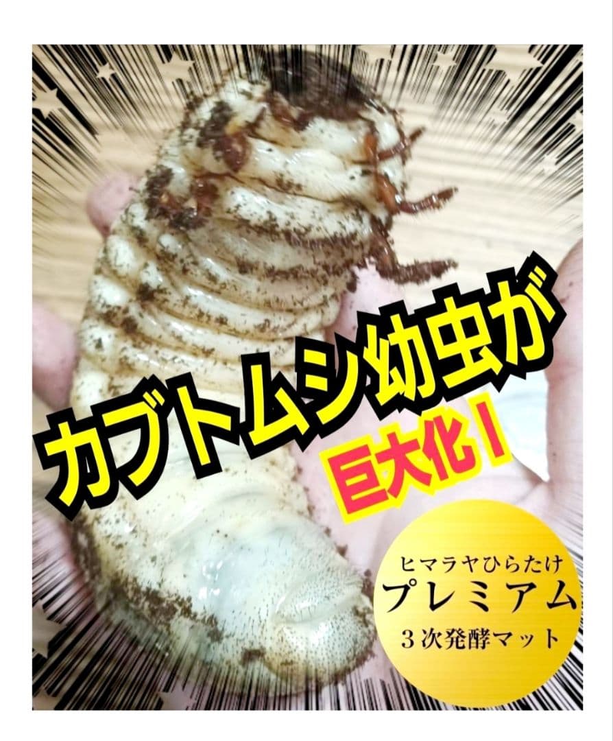 カブトムシ幼虫がビッグに！プレミアム3次発酵マット【90リットル