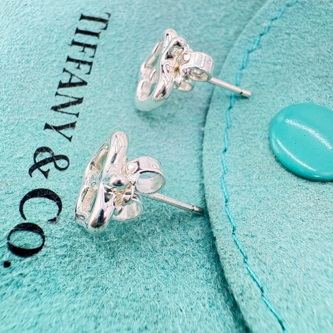 極美品】ティファニー アップルモチーフピアス ミニサイズ 巾着袋