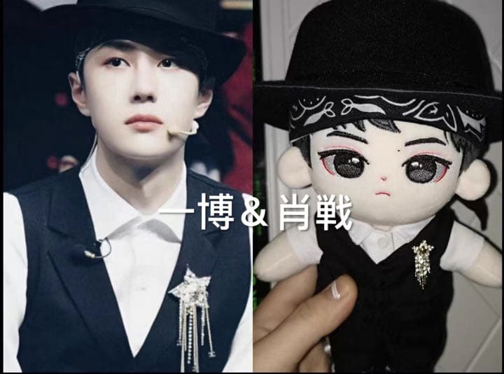 ご確認用 王一博 ぬいぐるみ 20cm お洋服 着せ替え ハンドメイド 受付