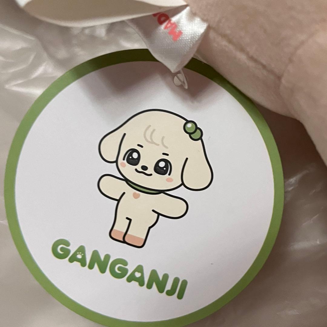 IVE MINiVE POP-UP 限定メガクッション(ユジン / カンアンジ) IVE