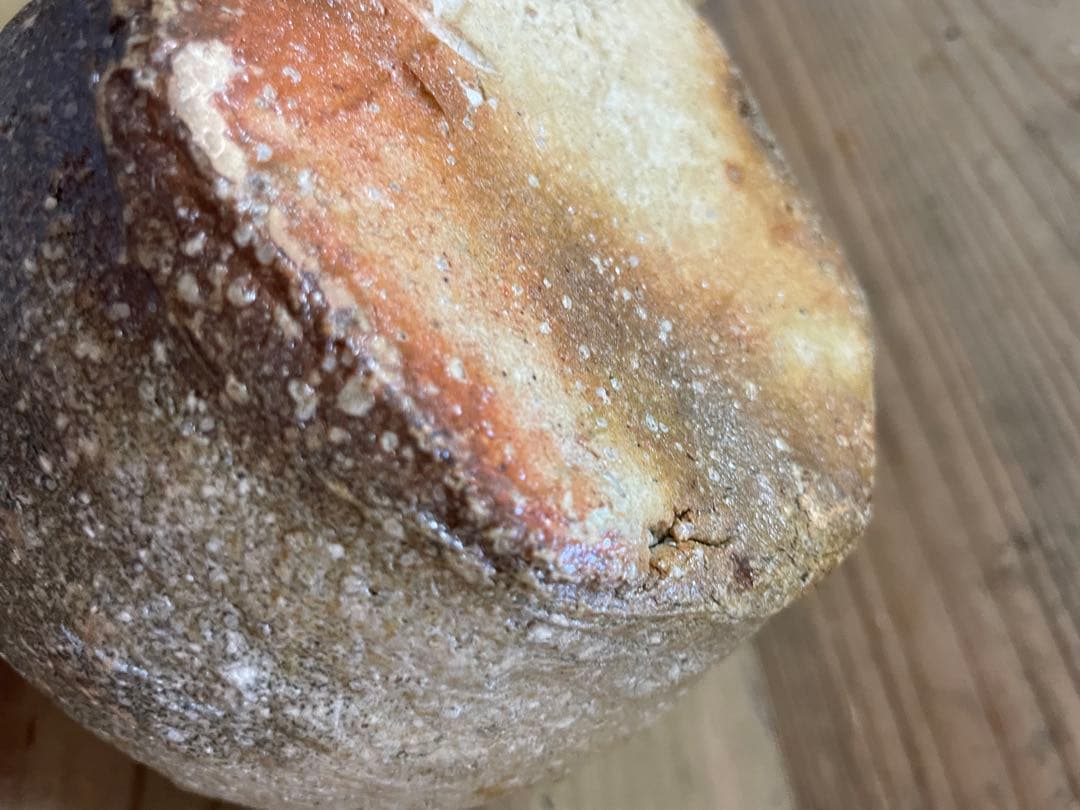 杉本貞光 掛け花入れ【m1203 花瓶 骨董 茶道 茶道具 花道 レトロ 壺 】