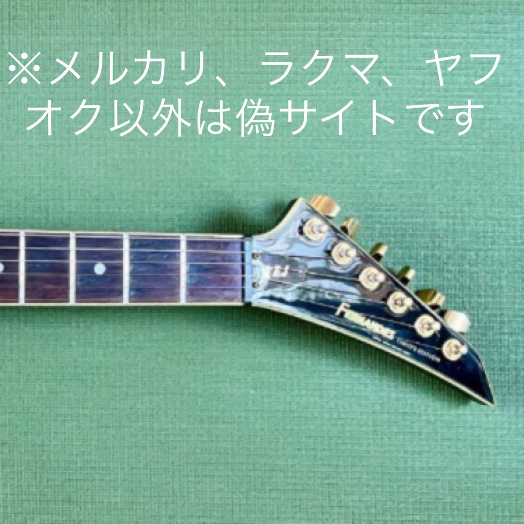 日本製】BOØWY☆布袋寅泰☆Fernandes TEJ-55G トレモロ - メルカリ