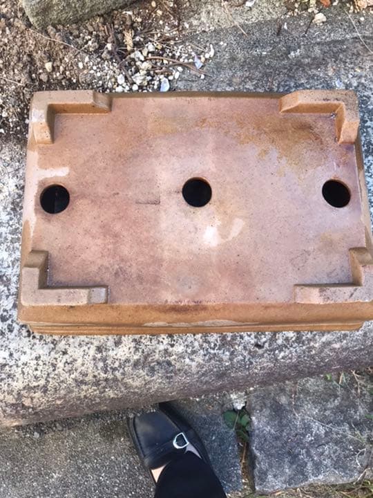 盆栽鉢 ④時代銭号長方盆栽鉢黄銅色烏泥