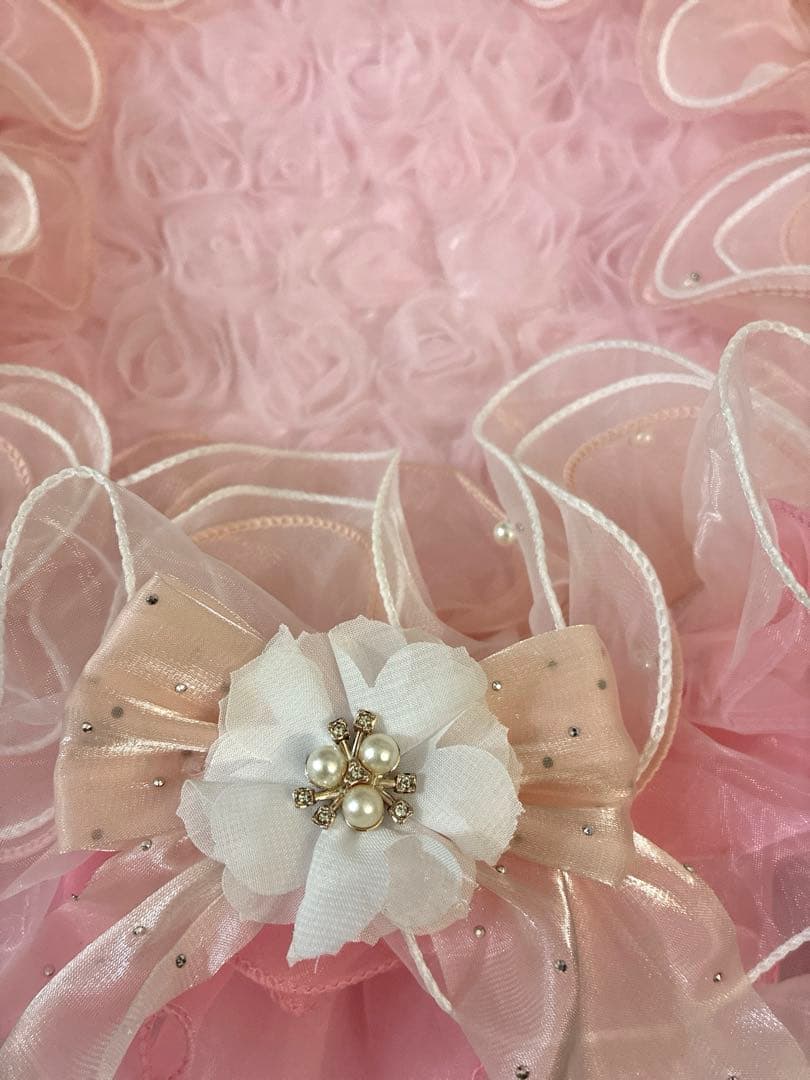 カフェマット 5点 akko様ご注文商品