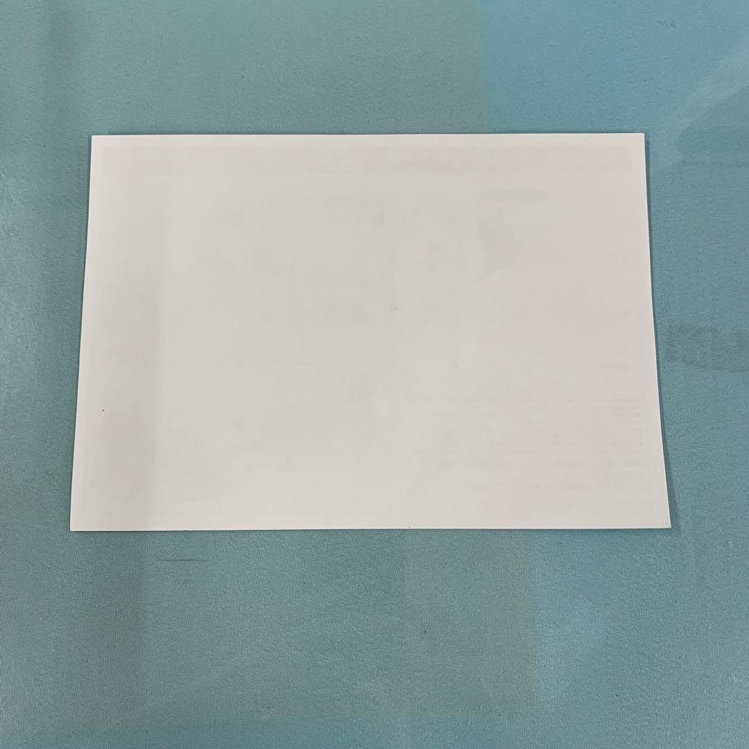 チャパエフ 白騎兵の休日 「アズールレーン」 B-Style 1/4 - メルカリ